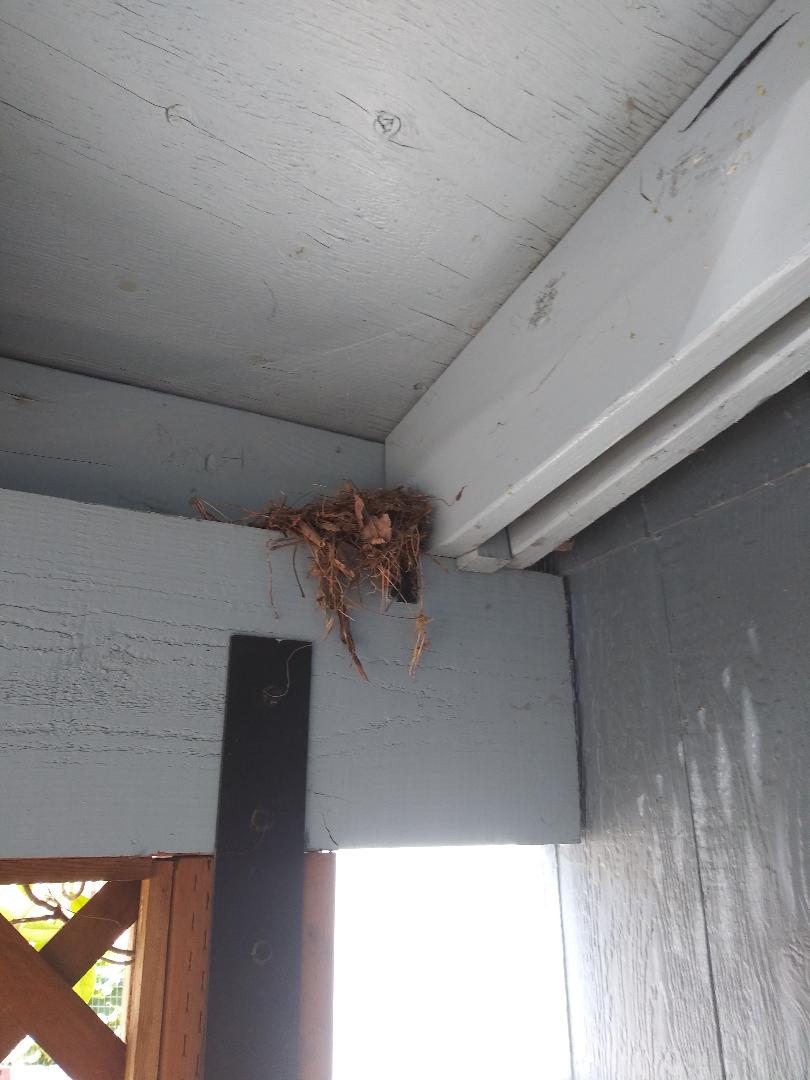 Carport Nest
